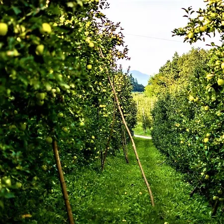 Antico Eremo, Tra Natura E Tradizione *